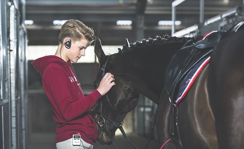 Whis Instruction Set - Original Multi - Image 4